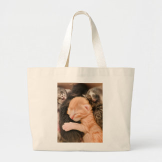 La famille est tout, sac fourre-tout chaton