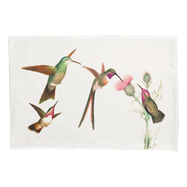 La faune d'oiseaux de colibri fleurit la taie (devant)