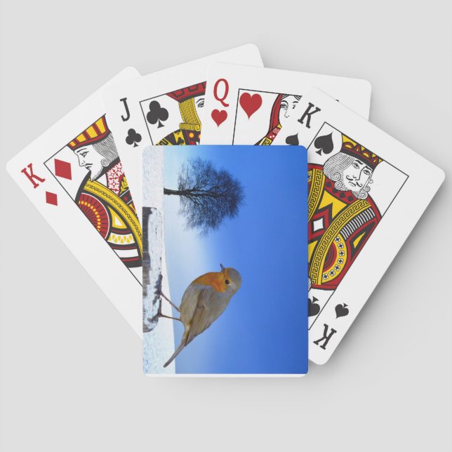 La faune Les cartes de jeu (dos)