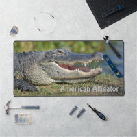 La faune photographique américaine de l'alligator