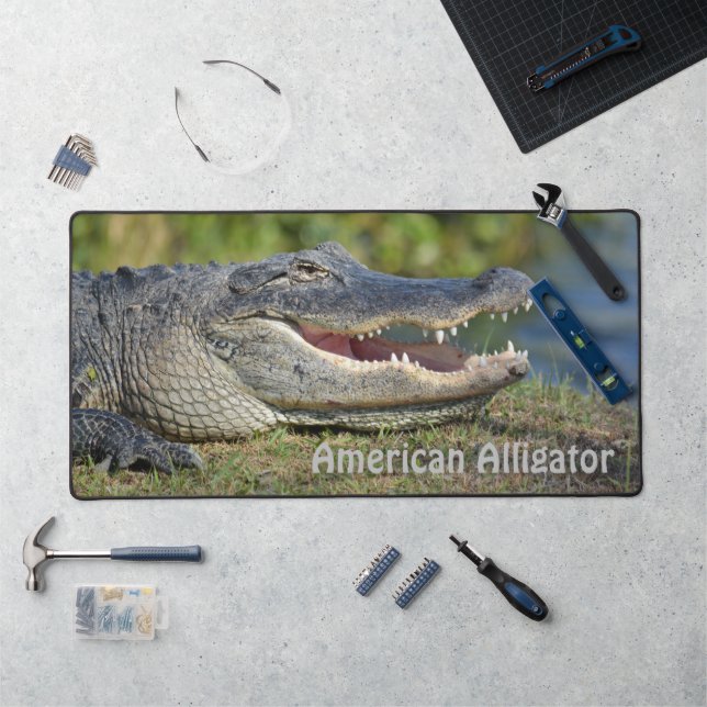 La faune photographique américaine de l'alligator (Poste de travail)