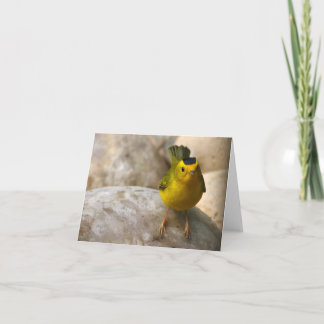 La fauvette de Wilson - Joe Sweeney - carte