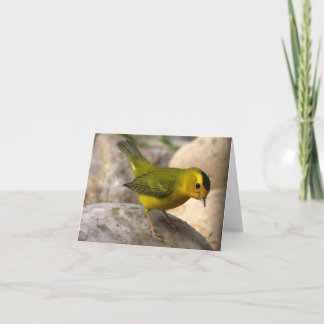 La fauvette de Wilson - Joe Sweeney - carte