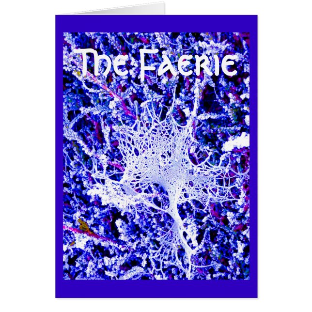 La féerie - toile d'araignée (Devant)