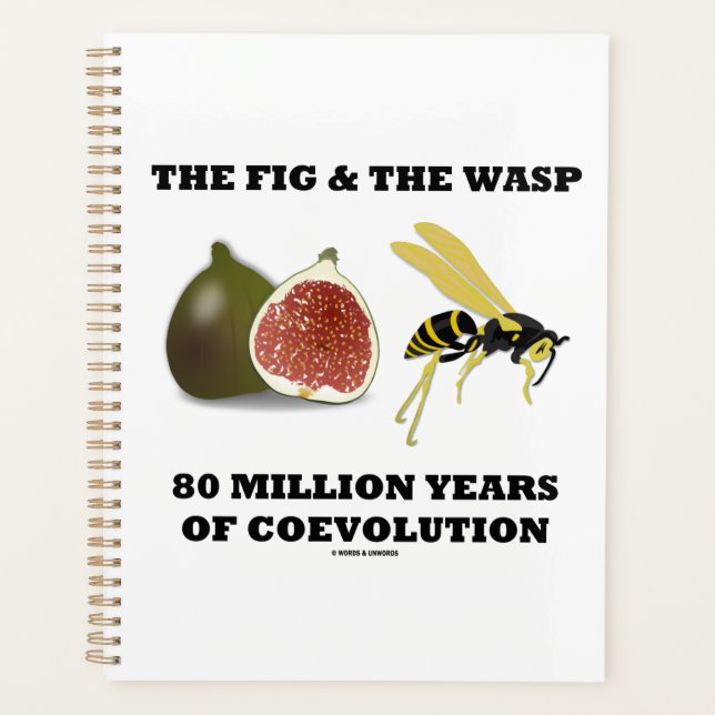 La Fig Et La Wasp 80 Millions D'Années De Coévolut (Devant)