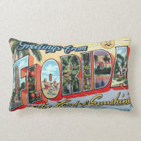 La FLORIDE - la terre du soleil - COUSSIN