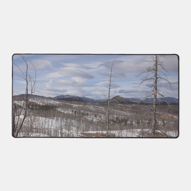 La forêt de pic de Pike (Recto)