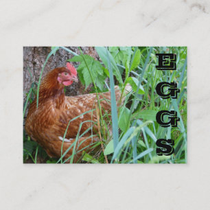La gamme libre EGGS le carte de visite de poulet