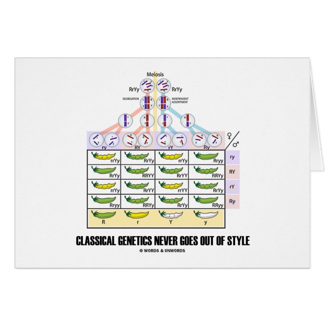 La génétique classique ne sort jamais du style (Devant horizontal)