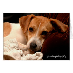 La Géorgie, glorydaysphotography