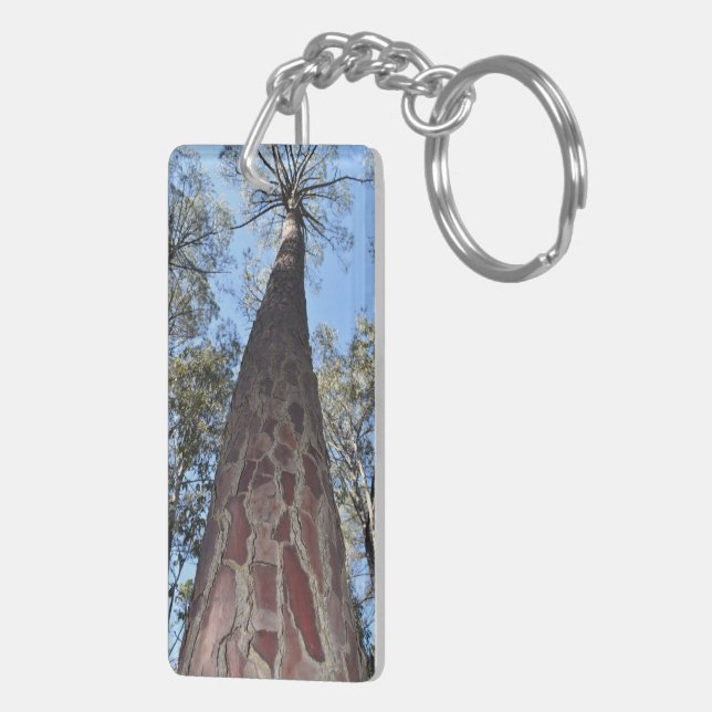 La Gerche Ponderosa Pine Cercle (Dos droit)