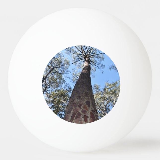 La Gerche Ponderosa Pine Ping Pong Ball Tischtennisball (Vorderseite)