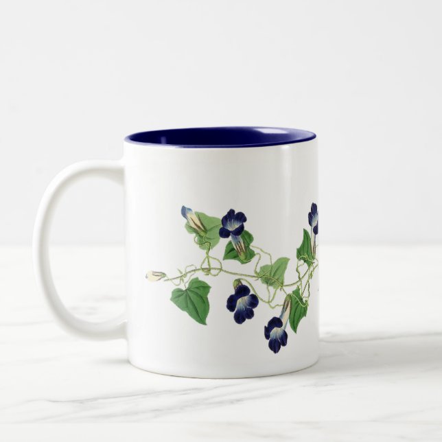 La gloire de matin fleurit la tasse florale de (Gauche)
