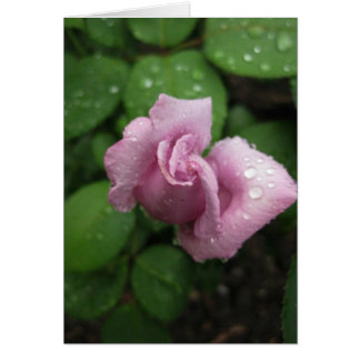 La goutte de fond rose