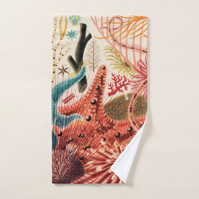 La Grande barrière de corail Australie (Serviette à main)