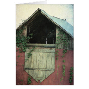La grange de lierre