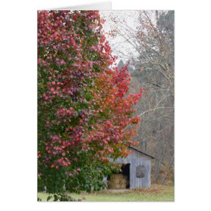 La grange de Liz à l'automne