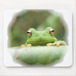 La grenouille observe le tapis de souris