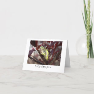 La grenouille obtiennent la carte bonne