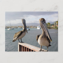 La Guancha en Ponce Postkarte