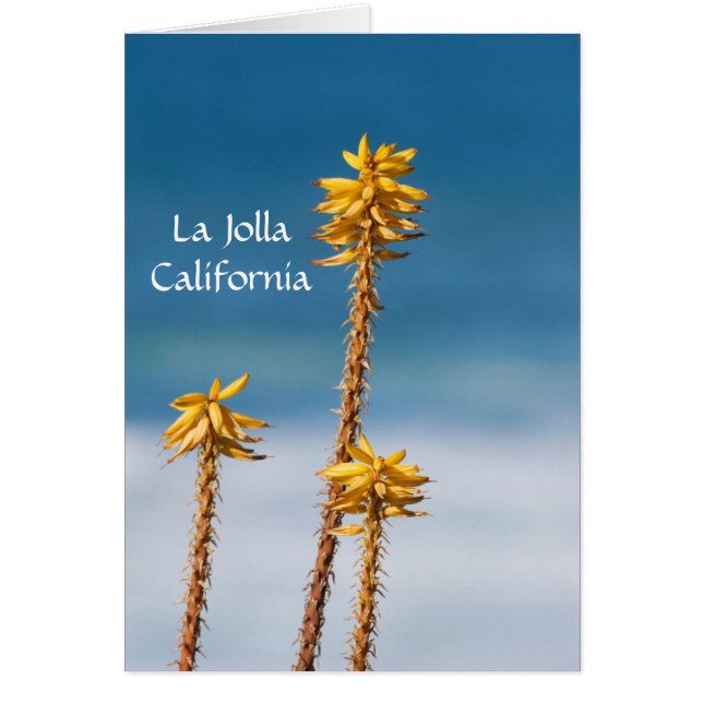 La Jolla Agave and Ocean (Vorne)