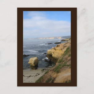 La Jolla Beach Seabirds Custom California Postcard Postkarte