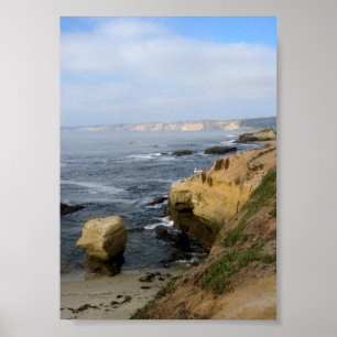 La Jolla Beach Seabirds Custom Poster Art Imprimer