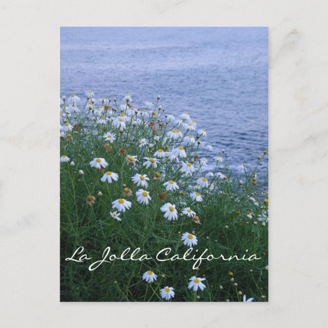 La Jolla Blume und Ozean Postkarte (Vorderseite)