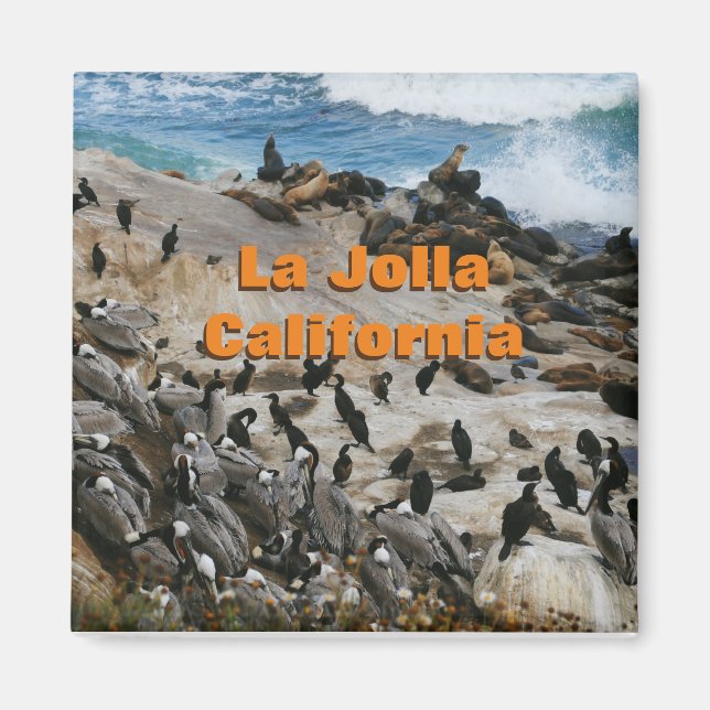 La Jolla Californie Magnet de souvenirs (Devant)