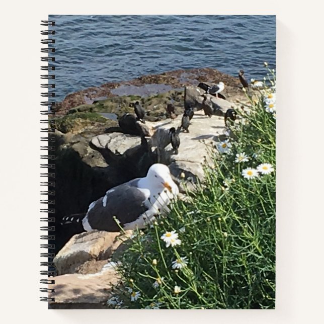 La Jolla Cove, Kalifornien Notizbuch (Vorderseite)