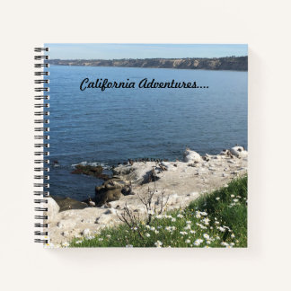 La Jolla Cove, Kalifornien Notizbuch