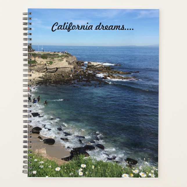 La Jolla Cove, Kalifornien Planer (Vorderseite)