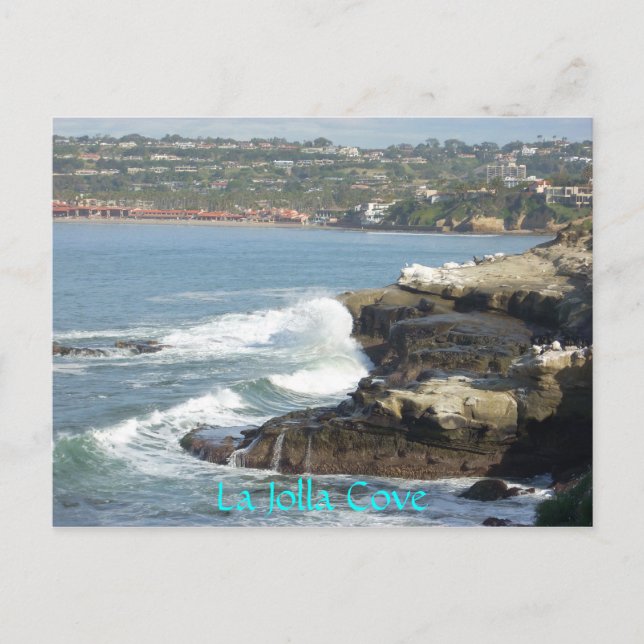 La Jolla Cove Postkarte (Vorderseite)