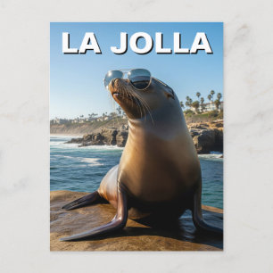 La Jolla Sea Lion California Postkarte