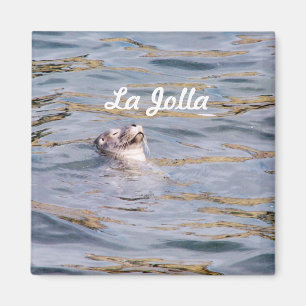 La Jolla Siegel Magnet
