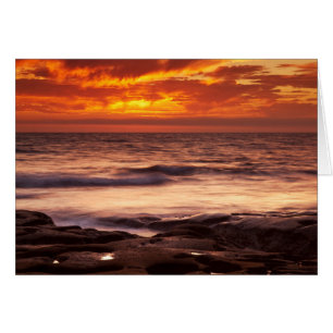 La Jolla Tide Pools