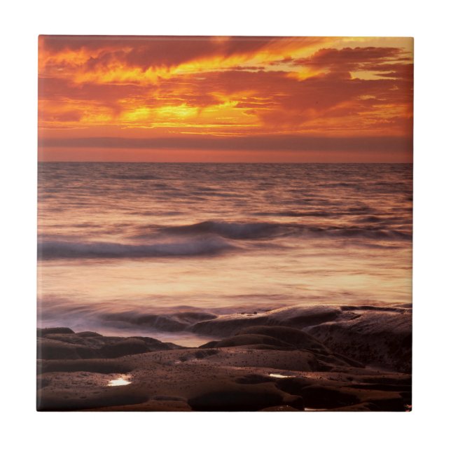 La Jolla Tide Pools Fliese (Vorderseite)