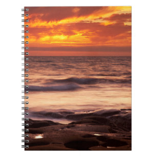 La Jolla Tide Pools Notizblock