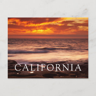 La Jolla Tide Pools Postkarte