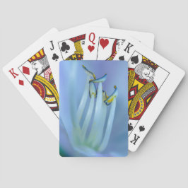 La La La Land Spielkarten