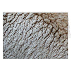 La laine des moutons Abstraite nature