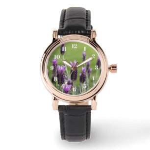 La lavande française fleurit la montre des femmes