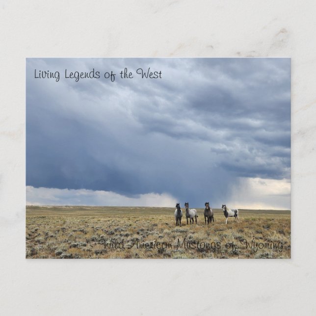 La légende vivante de l'Occident - Carte postale (Devant)