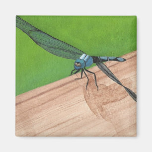 La libellule bleue artistique sur un Magnet ferrov