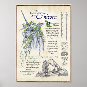 La licorne - Poster de la page mythologique du bes