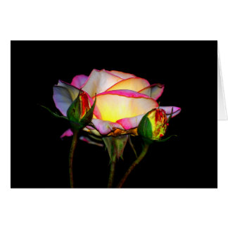 La lumière en dedans