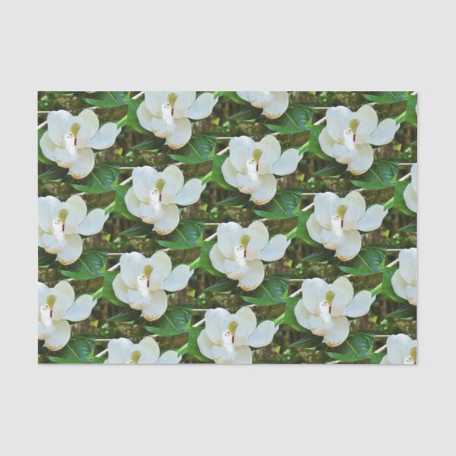 La magnolia fleurit papier de soie de soie (Recto)