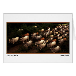 La maison d'entraînement, Mexique