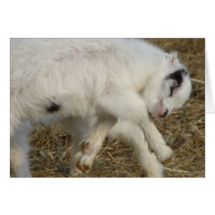 La Mancha Billy Kind im Spiel