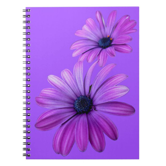 La marguerite pourpre de carnet de marguerite (Devant)